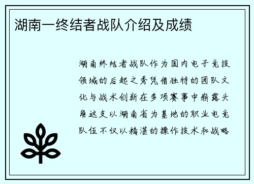 湖南一终结者战队介绍及成绩